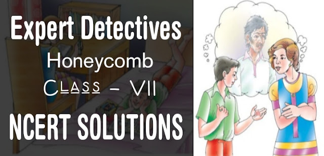 Expert Detectives class 7 NCERT Solutions