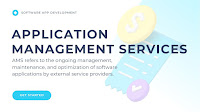 What are Application Management Services (AMS)?