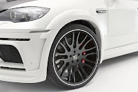 Hamann Flash EVO M