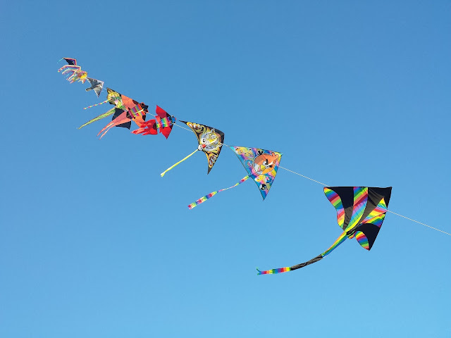 Sarigerme Kite Festival