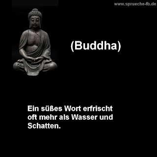 sprüche zum nachdenken buddha zitate deutsch