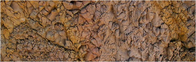 Clay Texture