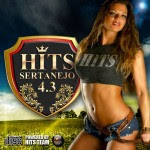 hits43 Download   Hits Sertanejo 4.3 (2012)