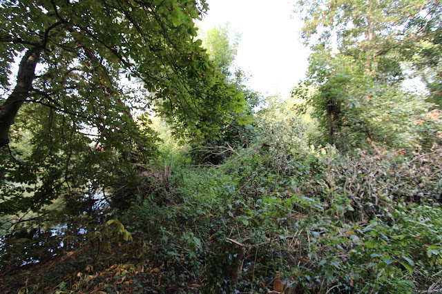 Thames Riverside Development Land - Near Runnymede - Part Of the Area Has Been Cleared