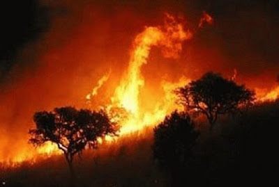 incendios forestales colombia, 06 de Enero 2013