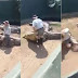 Crocodilo ataca homem diante de público em evento; veja vídeo