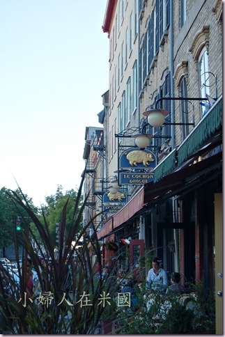 DSC_3362-