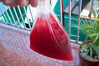 Bag Juice In Jamaica2