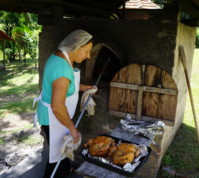 Vindima na Vinícola Vaccaro