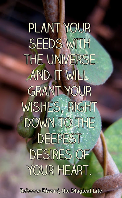 Plant your seeds with the universe and it will grant your wishes, right down to the deepest desires of your heart.