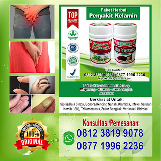 Obat Herbal Sembuhkan Varikokel Buah Zakar Bengkak Dari Ekstrak Daun Sirih