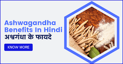 Ashwagandha Benefits In Hindi - अश्वगंधा के फायदे