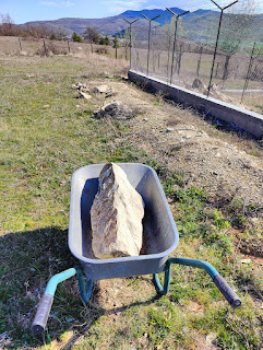 Moving rocks from by the chicken enclosure