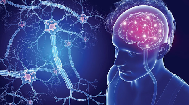 Neurological Disorder Drugs Market