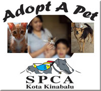 SPCA KK