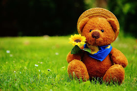 Teddy-Bear-HD-Wallpaper-with-flowers
