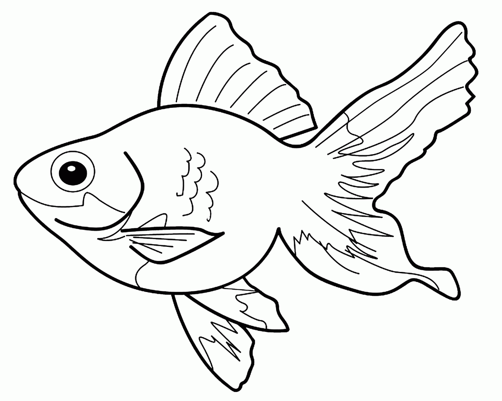 Coloring Fish