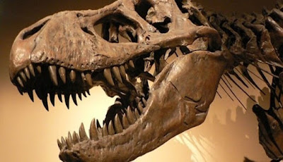 Tyrannosaurus rex Ternyata Tidak Bisa Menjulurkan Lidahnya