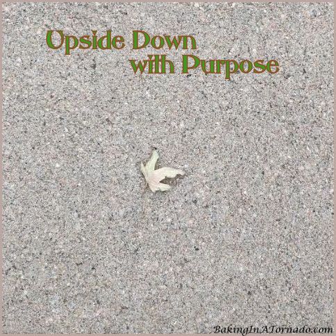 Upside Down with Purpose | graphic designed by, featured on, and property of www.BakingInATornaoo.com | #MyGraphics #blogging