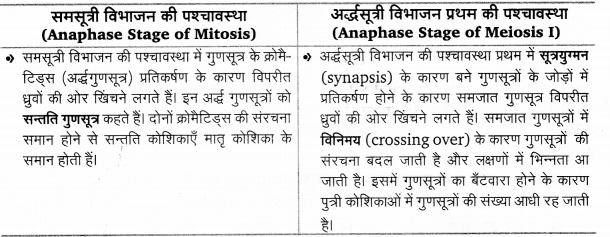 Solutions Class 11 जीव विज्ञान Chapter-10 (कोशिका चक्र और कोशिका विभाजन)