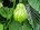Momod ads.id