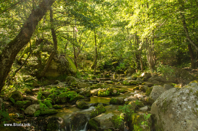 Dragor River - Dihovo village, Bitola, Macedonia