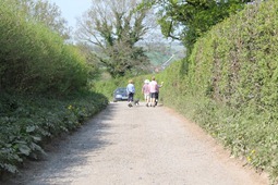 IMG_5244
