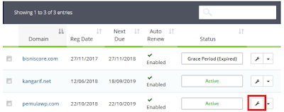 Cara Setting Private Nameserver di Plesk