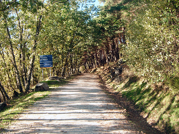 Ruta de Colmenar Viejo al puerto de Cotos. Octubre 2012