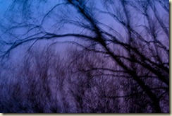 JB_20100103_1516