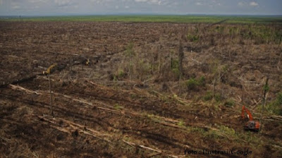 cara mencegah dan mengatasi degradasi lahan