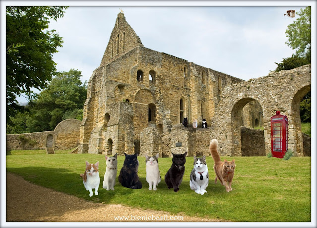 The B Team's Battle Abbey Selfie ©BionicBasil® The Sunday Selfies Blog Hop and Smooch's UK Historical Travel Guide