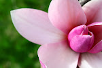 Basic Photography