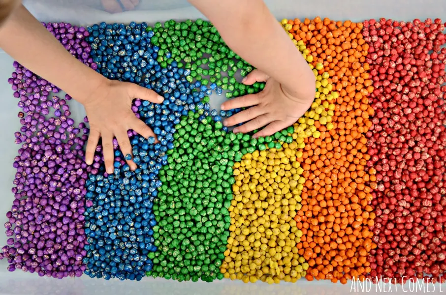 Playing with rainbow dyed dried chickpeas - a great sensory bin filler for toddlers and preschoolers from And Next Comes L