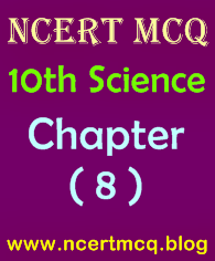 Science MCQ, Class 10th, Chapter-8, Heredity