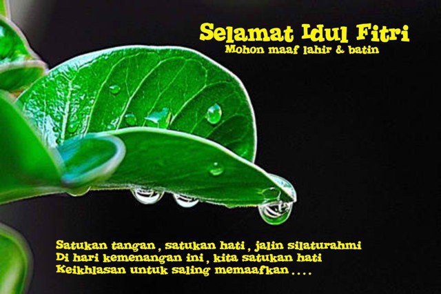 Kartu ucapan lebaran selamat hari raya idul  fitri  2012 