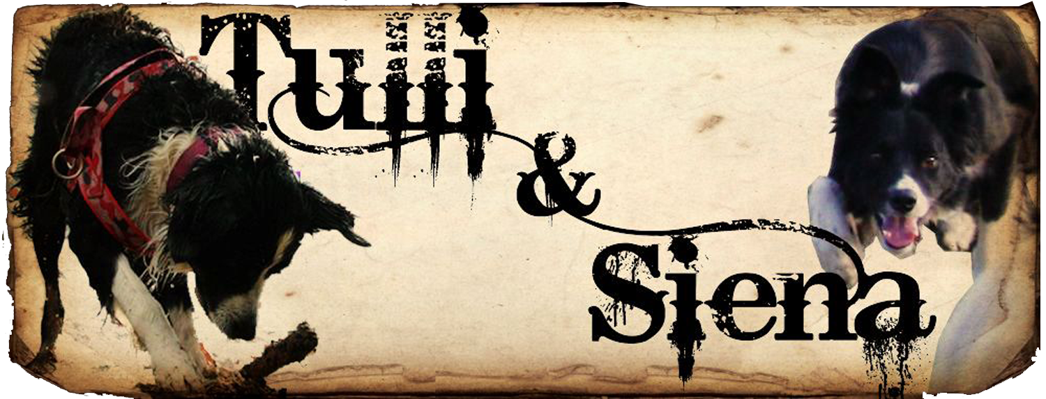 Tulli & Siena