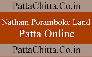 Natham poramboke land patta online