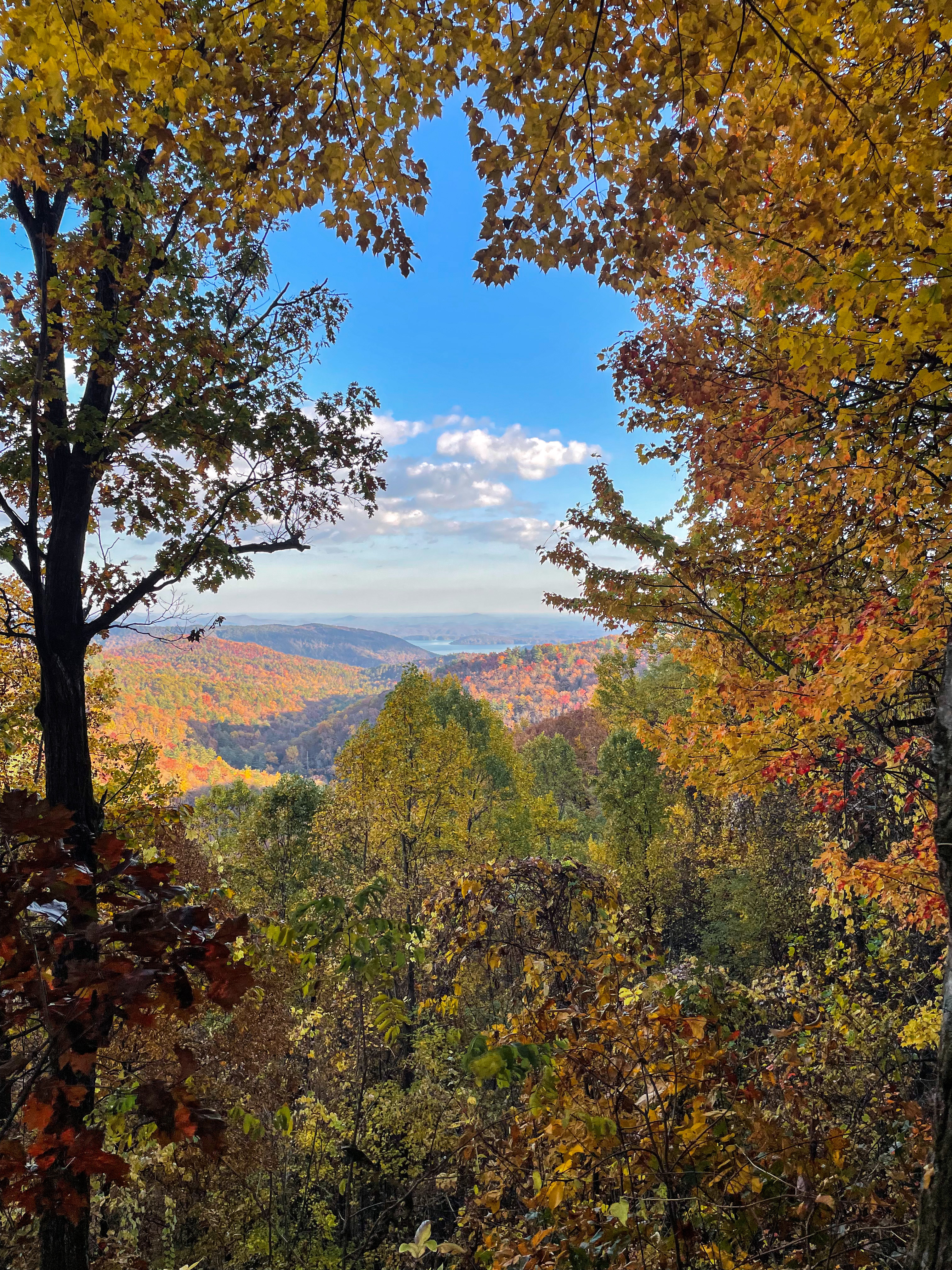 Whitewater Falls, NC