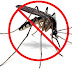 Cuidado con los mosquitos 
