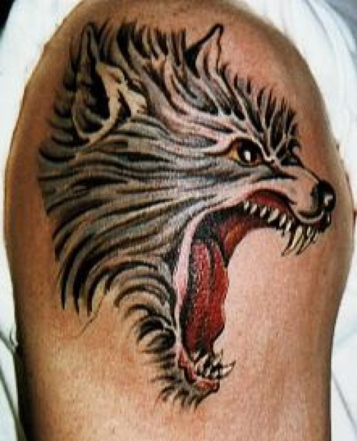 Wolf Head Tattoo. Wolf Head Tattoos