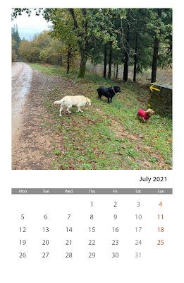 Calendario mes xullo con imaxe do camiño de Inverno
