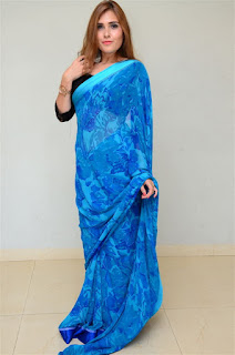 Alexius Macleod Saree Hot Photos Blue Saree