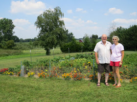 vegetable garden