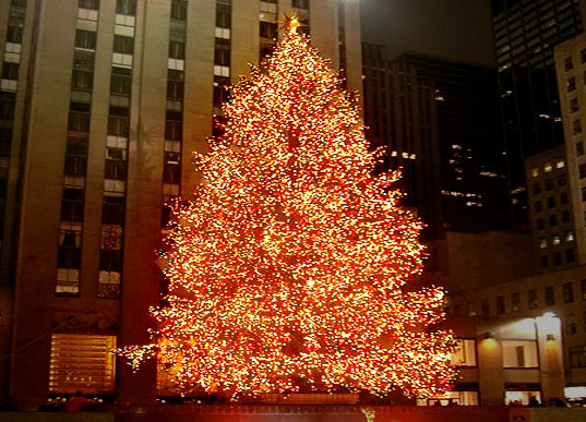 Rockefeller Christmas Tree