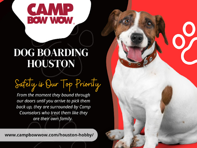 Dog Boarding Houston