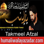 https://humaliwalaazadar.blogspot.com/2019/08/takmeel-afzal-nohay-2020.html