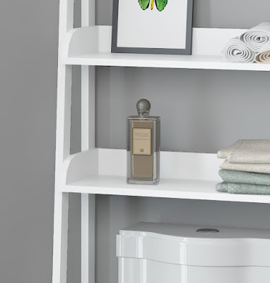 Bathroom Organizer Over The Toilet Design