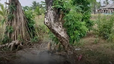 Sadis,,,! Empat Anak di Lebak Banten Aniaya ODGJ Hingga Tewas