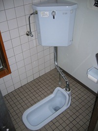 Japan 119